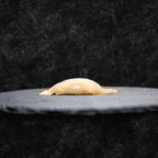 Best Hamachi in Clarendon Hills, IL