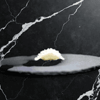 Best Ika Sushi in Clarendon Hills, IL